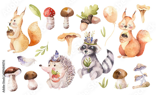 Cute Watercolor Bohemian Baby Cartoon Hedgehog Squirrel And Moose Animal For Nursary Woodland Isolated Forest Illustration For Children Bunnies Animals Stock Illustration Adobe Stock Cute Watercolor Bohemian Baby Cartoon Hedgehog Squirrel And Moose Animal For Nursary Woodland Isolated Forest Illustration For Children Bunnies Animals Stock Illustration Adobe Stock