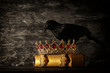 low key image of beautiful queen/king crown and black crow. fantasy medieval period. Selective focus.
