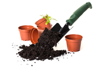 Planting a small plant on pile of soil