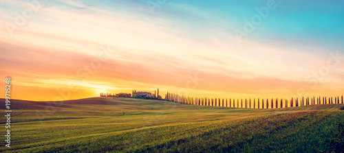 Fotomural Beautiful magical landscape with a field and a line of cypress in Tuscany, Italy