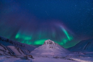 Wall Mural - the polar arctic northern lights aurora borealis sky star in norway svalbard in longyearbyen city ma