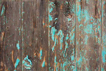 Poster - Weathered faded green painted wooden background