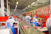 Workers Of Pork Meat Manufacturing