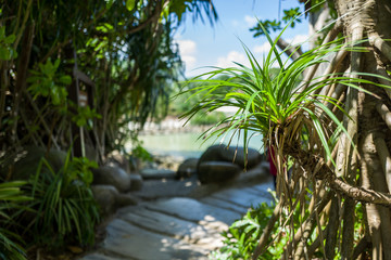 Bridge at Sentosa Beach in Singapore