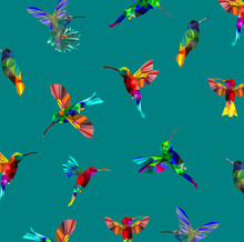 Pattern With Low Poly Colorful Hummingbird With Rainbow Back Ground,animal Geometric,party Birds Concept,vector.	