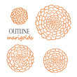 Set of four outline orange marigolds