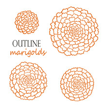 Set Of Four Outline Orange Marigolds
