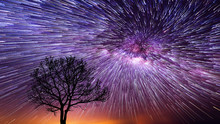 Spiral Star Trails Over Silhouettes Of Trees, Night Sky With Vortex Star Trails.