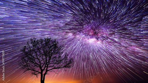 Fotomural Spiral Star Trails over silhouettes of trees, Night sky with vortex star trails