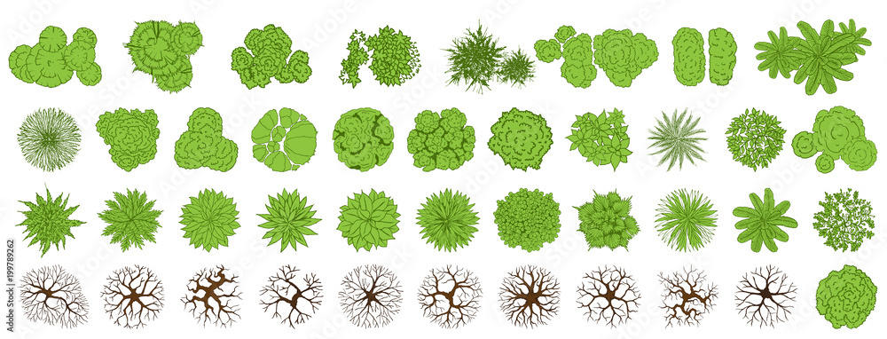 Trees top view for landscape vector illustration. - obrazy, fototapety, plakaty 