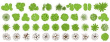Trees Top View For Landscape Vector Illustration.