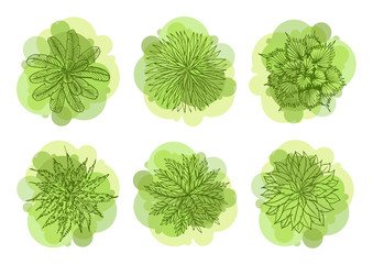 Wall Mural - trees top view for landscape vector illustration.