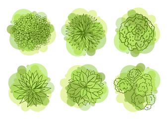 Wall Mural - trees top view for landscape vector illustration.