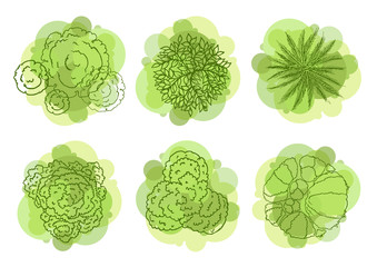 Wall Mural - trees top view for landscape vector illustration.