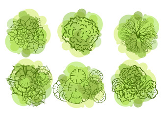 Wall Mural - trees top view for landscape vector illustration.