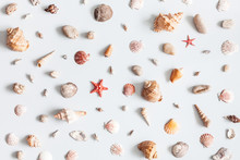 Sea Shells Pattern On Gray Background. Summer Concept. Flat Lay, Top View