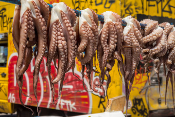 Fresh octopus hanging to dry in the sun, traditional Mediterranean way to cook octopuses, Octopoda