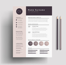 Beautiful CV / Resume Template - Elegant Stylish Design - Dusty Pink Color Background Vector