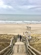 Stairs leading to Wenningstedt beach on the island of Sylt in Germany