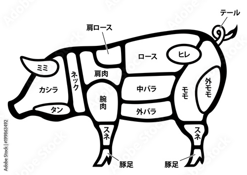 豚肉 ポーク 部位 白背景 Stock Vector Adobe Stock 豚肉 ポーク 部位 白背景 Stock Vector Adobe Stock
