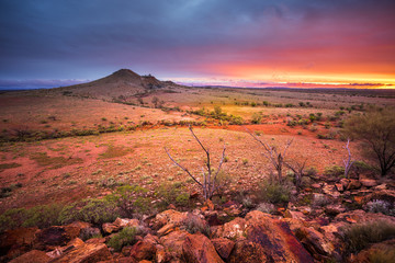 Wall Mural - Desert Glory