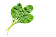 Leaf green salad arugula closeup, isolated on white background, flat lay 