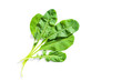 Leaf green salad arugula closeup, isolated on white background, flat lay 