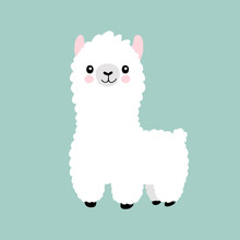 Cute Alpaca Free Stock Photo Public Domain Pictures cute-alpaca-free-stock-photo-public-domain-pictures