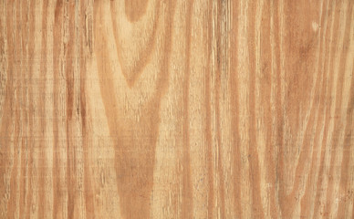 Wall Mural - Wood texture with natural pattern.