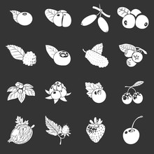 Berries Icons Set Grey Vector