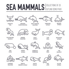 Sea Mammals Animal Thin Lines Collection Icons Set. Vector Outline Fish Illustration In Ocean Life Background. Marine Exotic Creature Flat Design 