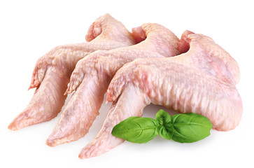 Poster - Raw chicken wings and basil isolated on white background.