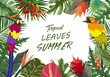 Summer tropical background with flowers. Background with tropical plants - parrot and plants nature