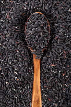 Fototapete - Black rice with spoon, Closeup.