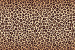 Leopard fur beige brown texture with dark border. Vector