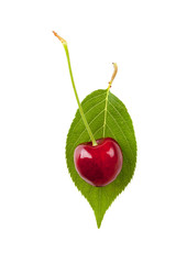 Canvas Print - Single ripe cherry on cherry leaf from above.