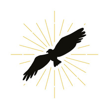 Retro Eagle Silhouette Logo