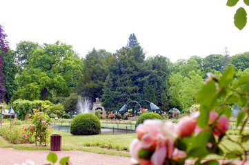 Wall Mural - le parc de la pépinière à Nancy