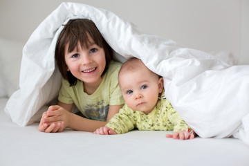 Wall Mural - Cute little six month old baby boy and his older brother, playing under duvet at home in bed in bedroom, smiling