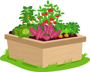 Canvas Print - Vegetable Box Container Illustration