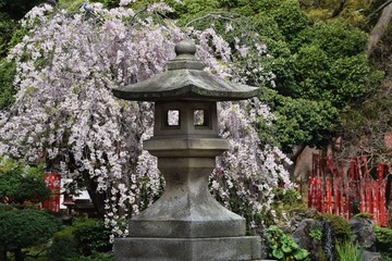 Poster - Japanese Shinto Shrine in spring