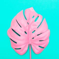 Wall Mural - pink tropical and palm leaf in vibrant bold color on turquoise background . Concept art. Minimal surrealism