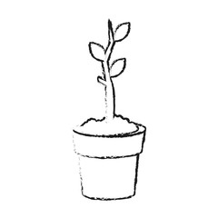 Poster - Plant growing on pot on black and white sketch colors vector illustration