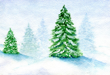 Snow covered firs