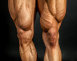 © Lubo Ivanko - Detail of male bodybuilder front leg muscles on black background. Quadriceps and tibialis anterior.