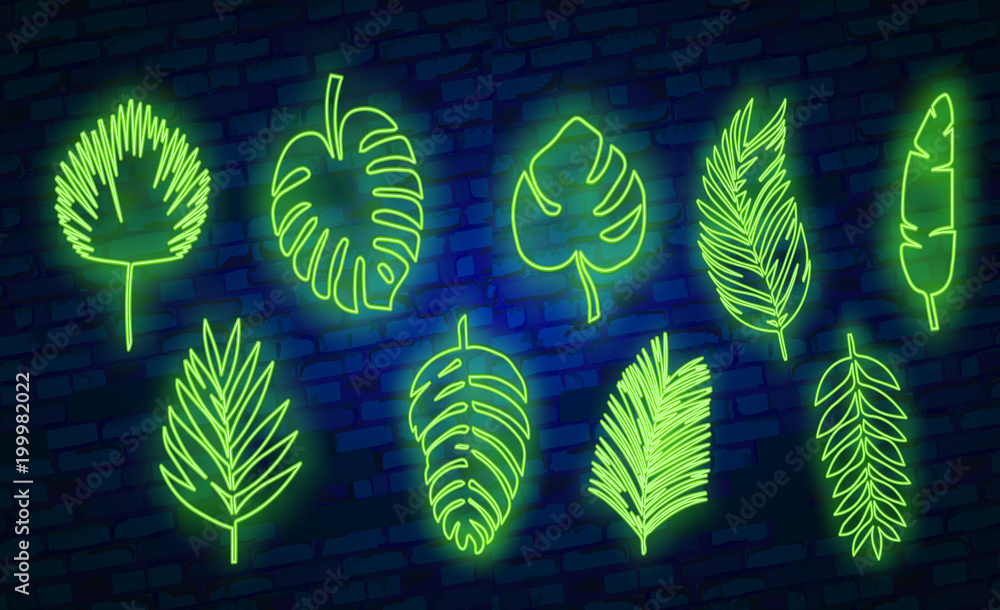 Vector tropical exotic leaves, realistic jungle leaves set isolated on ...