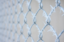 Frosted Chain Link Fence