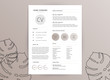 Elegant feminine CV resume template - elegant stylish design - beige color vector illustration
