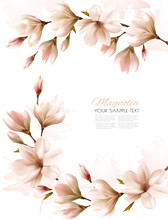 Abstract Spring Background With White Magnolia Branches. Vector.