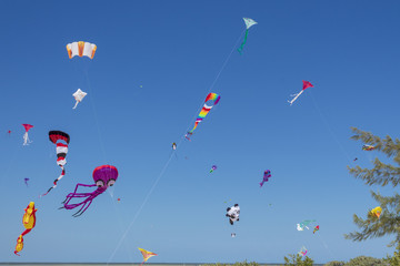 kite competition on a sunny hot day. colorful, creative kites fly against a deep blue sky in the car